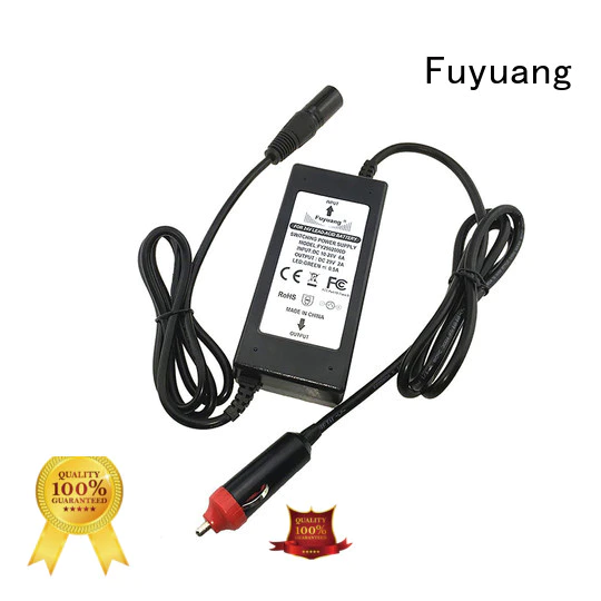 DC To DC Converters 24V 36V E-bike Scooter Lithium Battery Car Charger