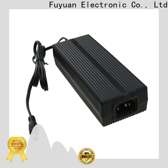 Fuyuang 24v lifepo4 charger for Electric Vehicles