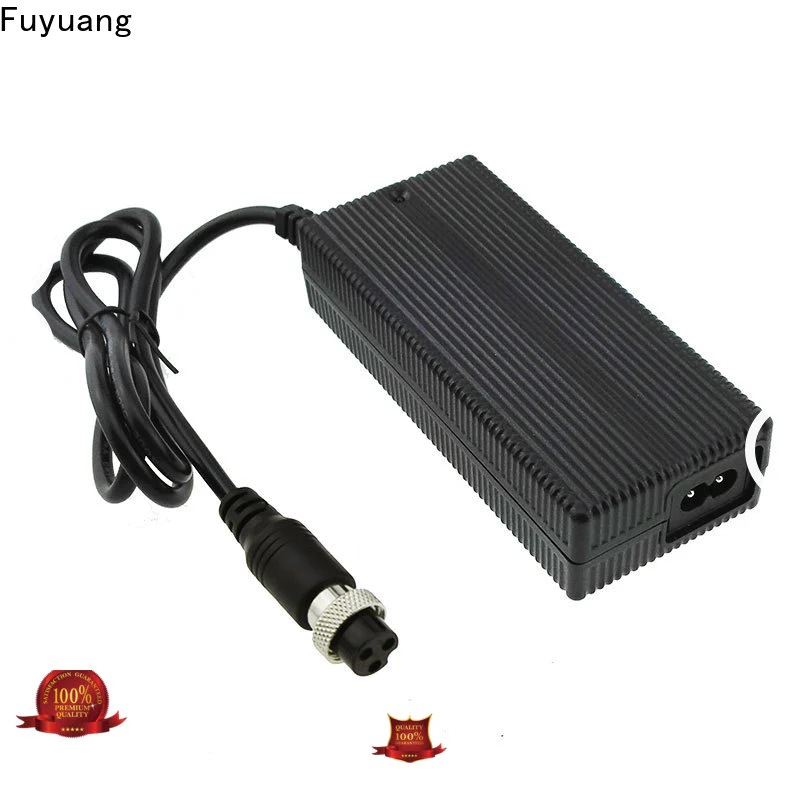 Fuyuang global lion battery charger for LED Lights