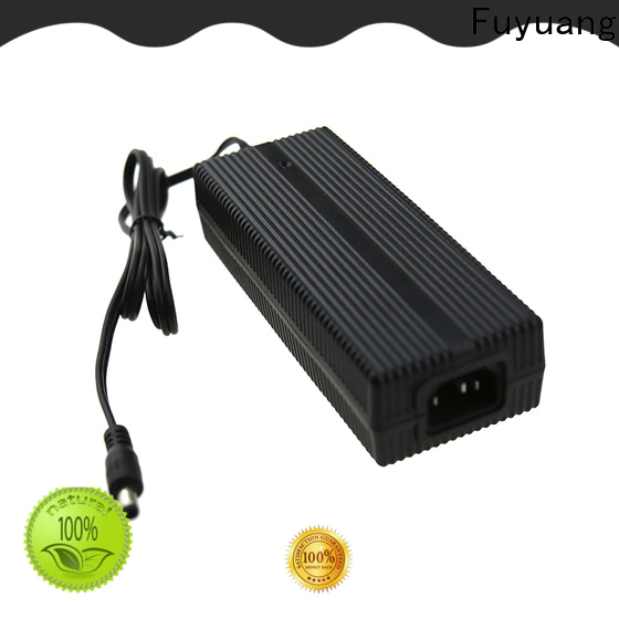 Fuyuang electric lifepo4 battery charger for Audio