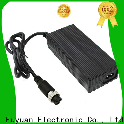 Fuyuang newly lead acid battery charger  supply for Robots