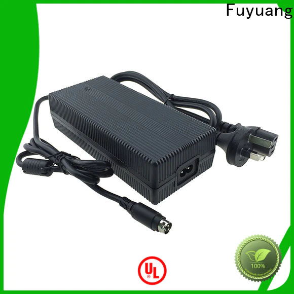 Fuyuang hot-sale lifepo4 charger supplier for Batteries