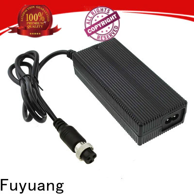 Fuyuang listed lion battery charger producer for Audio