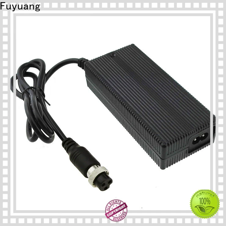 Fuyuang global battery trickle charger factory for LED Lights