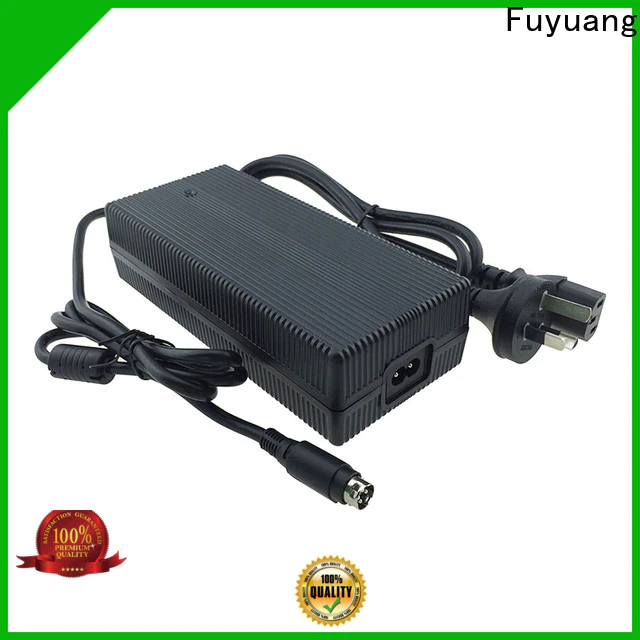 Fuyuang lion battery charger factory for LED Lights