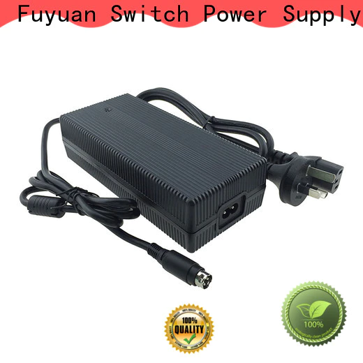 Fuyuang hot-sale lion battery charger for Electric Vehicles