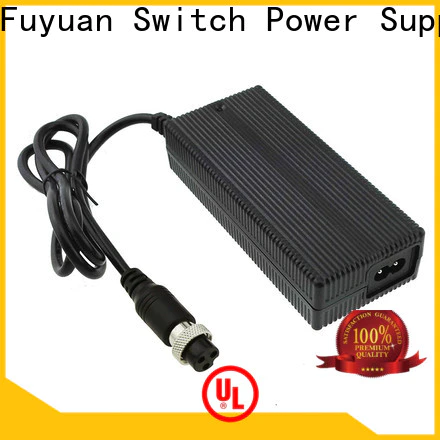 Fuyuang golf lion battery charger producer for Audio