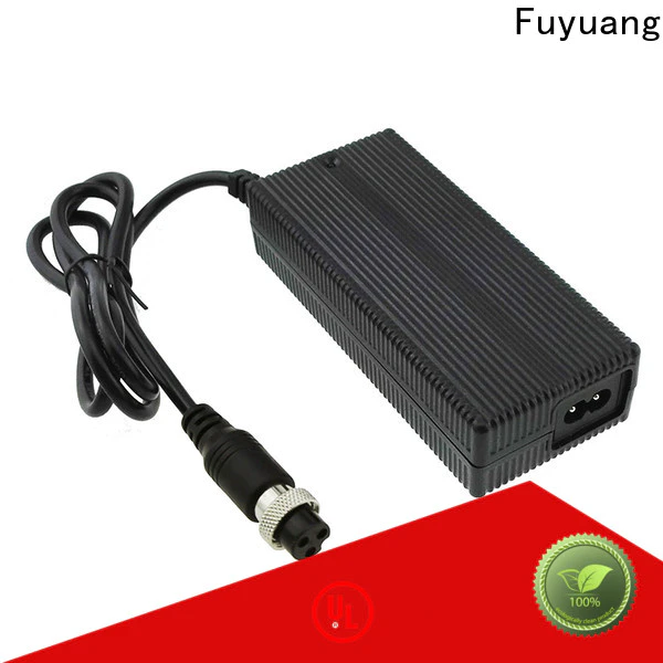 Fuyuang cart lithium battery chargers vendor for Electric Vehicles