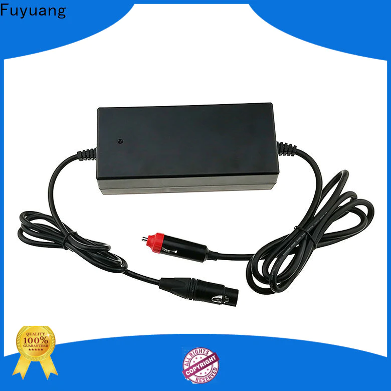 Fuyuang 36v car charger for Batteries
