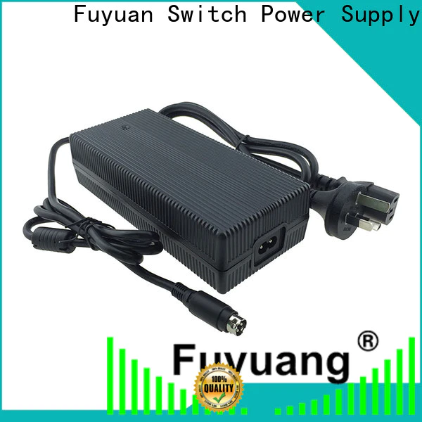 Fuyuang hot-sale lifepo4 charger for LED Lights