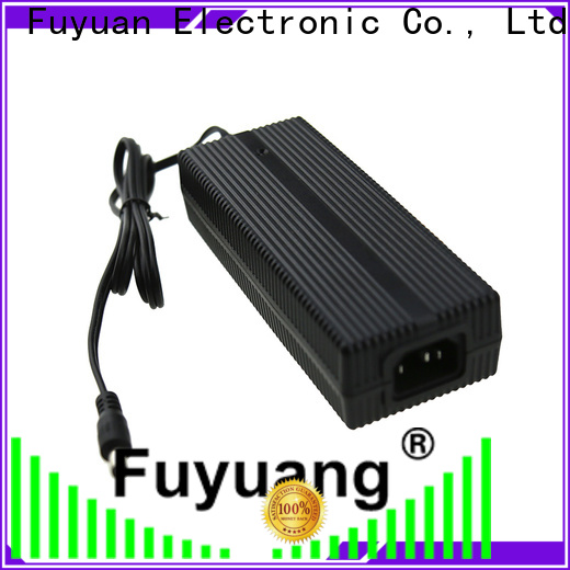 Fuyuang new-arrival lifepo4 charger for LED Lights