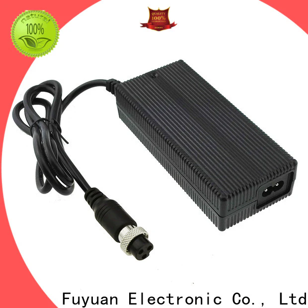 newly lifepo4 battery charger ce for LED Lights