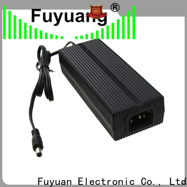 Fuyuang best lifepo4 battery charger for Electric Vehicles