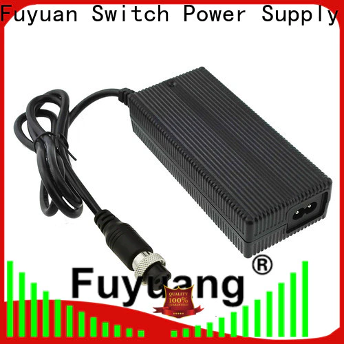 Fuyuang cart lifepo4 charger factory for Audio