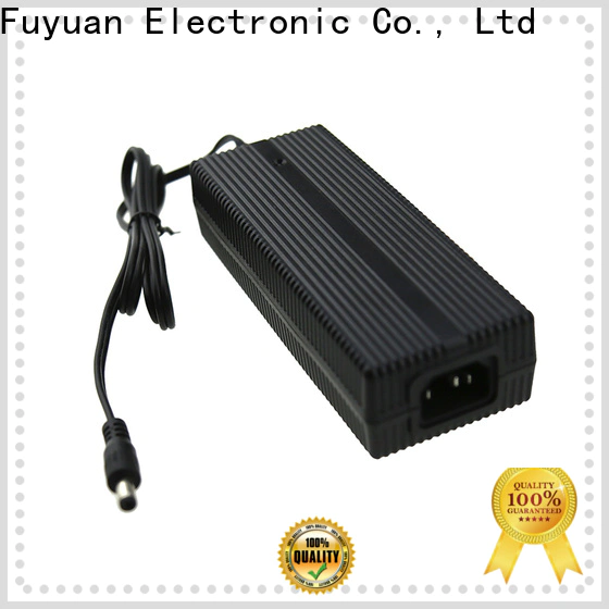 Fuyuang 2a lithium battery charger  manufacturer for LED Lights