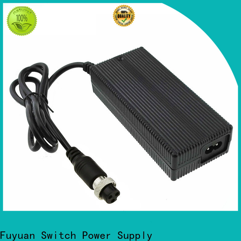 Fuyuang scooter lifepo4 battery charger  manufacturer for LED Lights