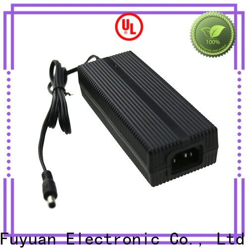 new-arrival lifepo4 charger lithium vendor for LED Lights