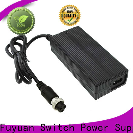 Fuyuang high-quality lifepo4 charger supplier for LED Lights