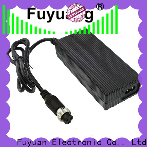 Fuyuang 48v lithium battery chargers vendor for Electric Vehicles
