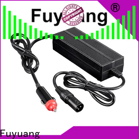 Fuyuang customized car charger for LED Lights