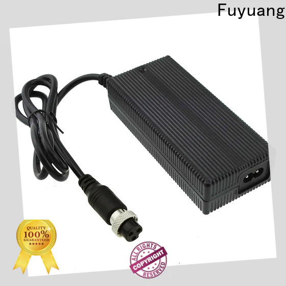 Fuyuang hot-sale lion battery charger for Audio