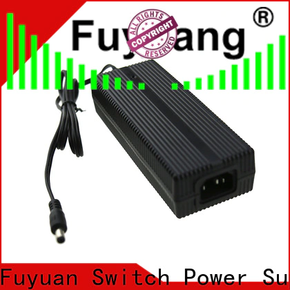 Fuyuang lifepo4 ni-mh battery charger supplier for LED Lights