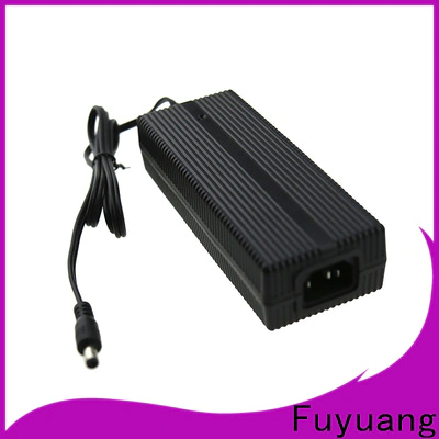 new-arrival lifepo4 charger 12v for Audio