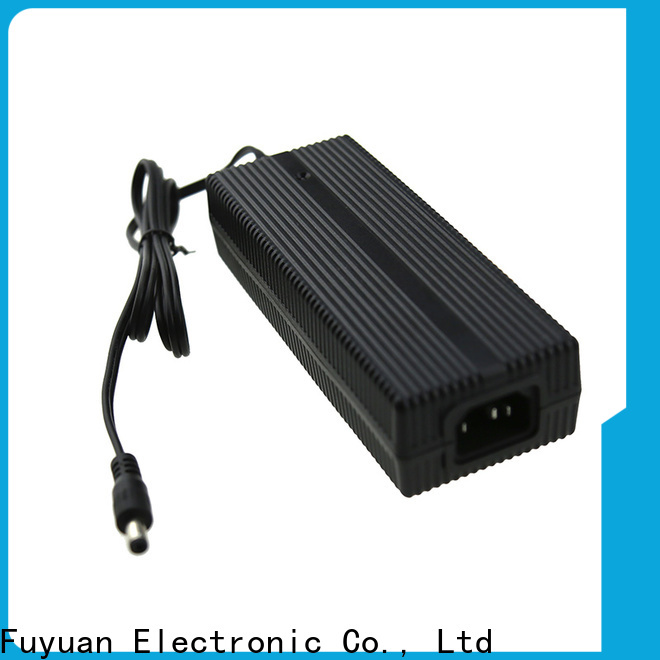 new-arrival li ion battery charger 48v for Audio