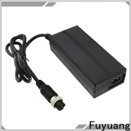Fuyuang lithium lion battery charger  manufacturer for Electrical Tools