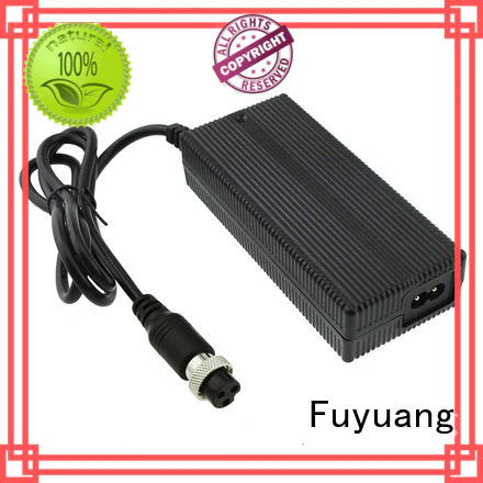 Fuyuang certification lion battery charger for Electrical Tools
