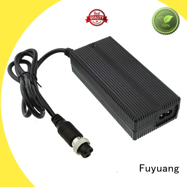 Fuyuang 48v ni-mh battery charger  supply for Audio