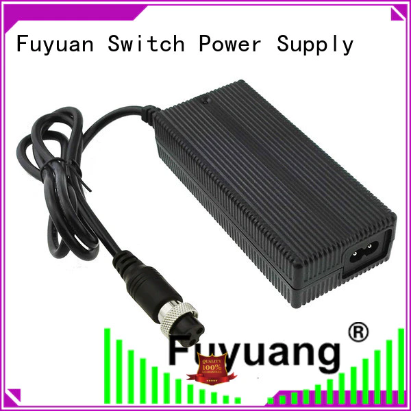 Fuyuang lead lithium battery charger  supply for LED Lights