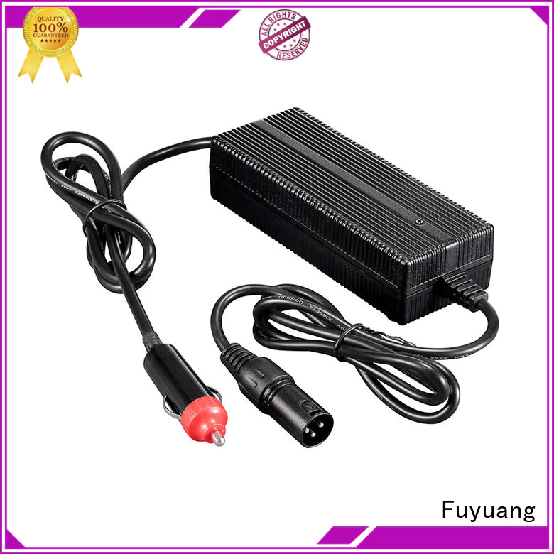 panels car charger car for Batteries Fuyuang