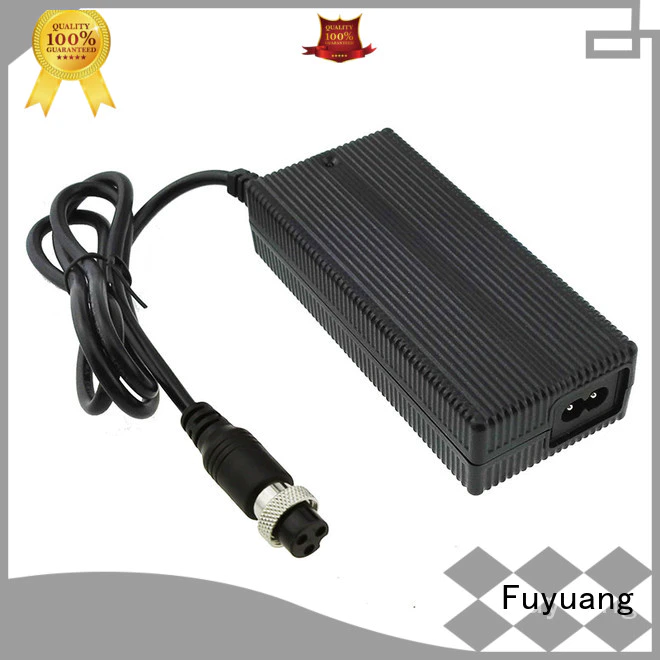 Fuyuang fine- quality li ion battery charger for Electrical Tools