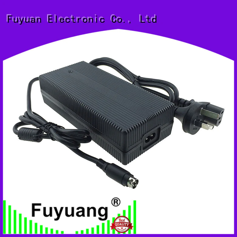 Fuyuang high-quality lifepo4 battery charger for Electrical Tools