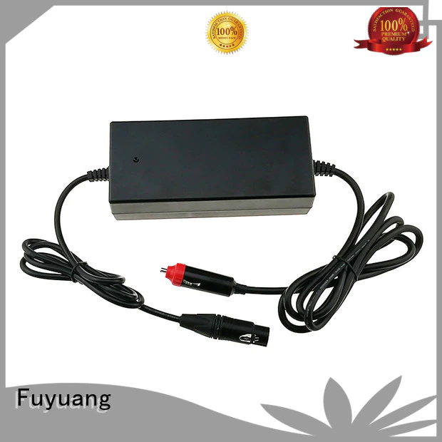 Fuyuang practical car charger for Robots