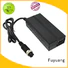 newly battery trickle charger fy1506000  supply for Audio