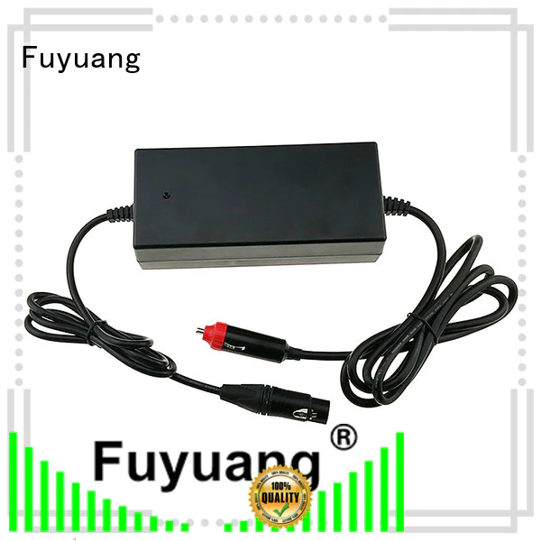 Fuyuang customized dc dc battery charger steady for Batteries