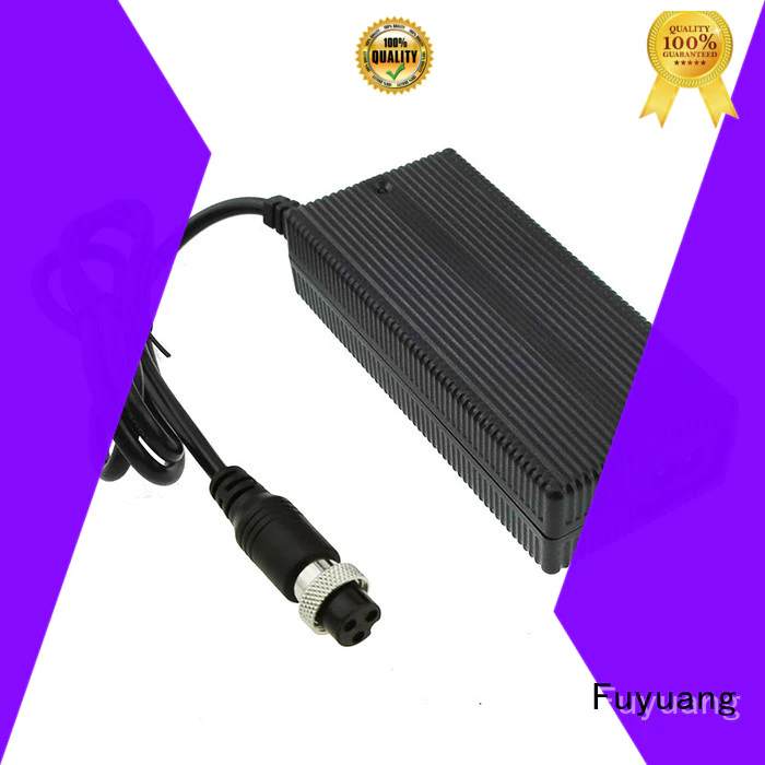 Fuyuang lifepo4 charger  manufacturer for Audio