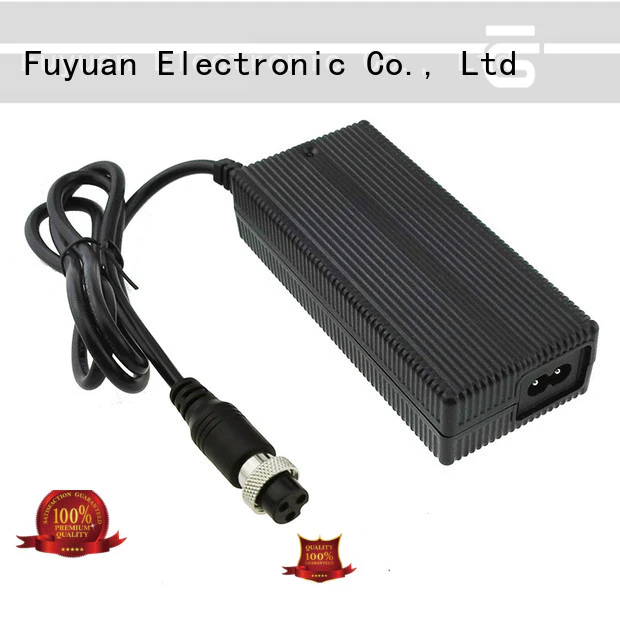 Fuyuang fine- quality lion battery charger ce for Batteries