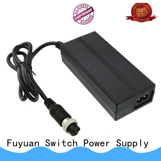 Fuyuang ebike lifepo4 battery charger supplier for LED Lights