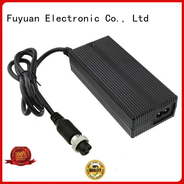 Fuyuang skateboard lifepo4 charger  manufacturer for Electric Vehicles