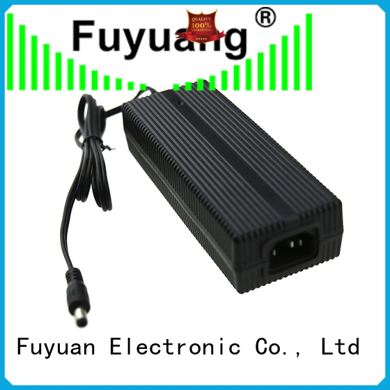 Fuyuang hot-sale lion battery charger for LED Lights