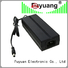 new-arrival lion battery charger certification  supply for Electric Vehicles