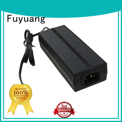 Fuyuang global lion battery charger factory for LED Lights