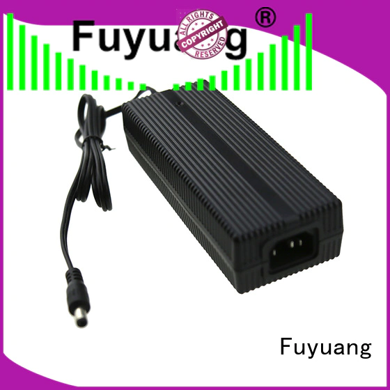 Fuyuang fine- quality lifepo4 charger for LED Lights